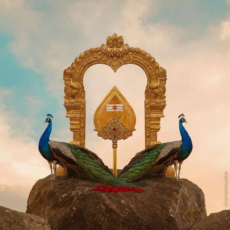 The Peacock: Murugan's Resplendent Companion