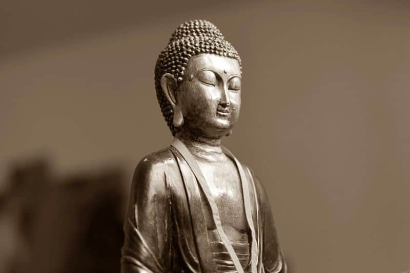 Embrace Life's Impermanence