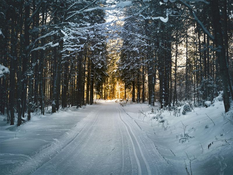 Capricorn: Winter's Ambitious Peak