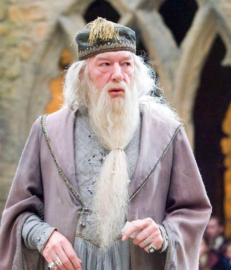Capricorn - Albus Dumbledore