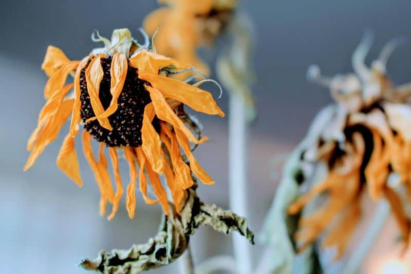 Your Personal Growth Has Stalled