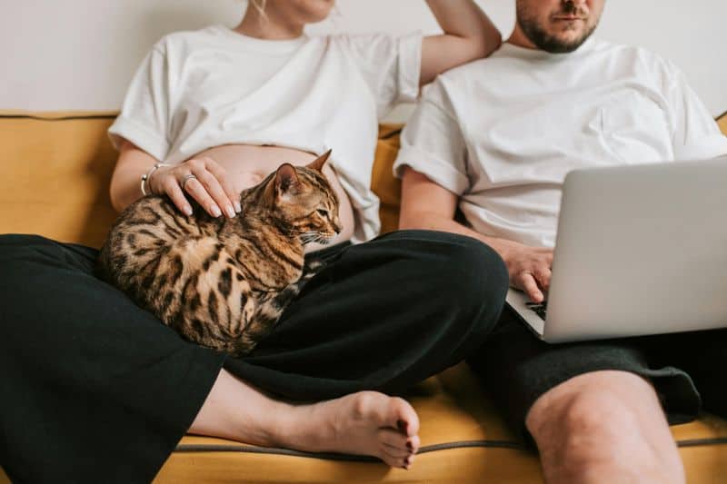 The Sedentary Energy Paradox