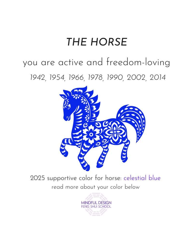 Horse: The Dynamic Influencer