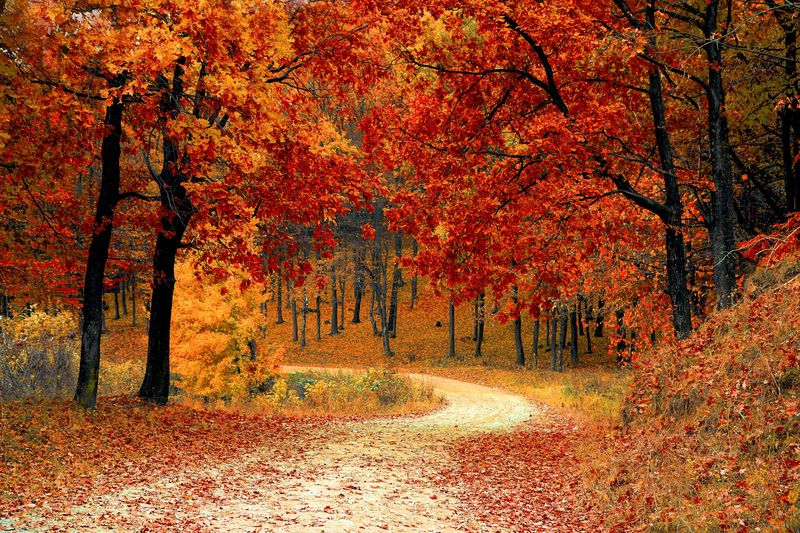 Libra: Autumn's Balanced Beauty