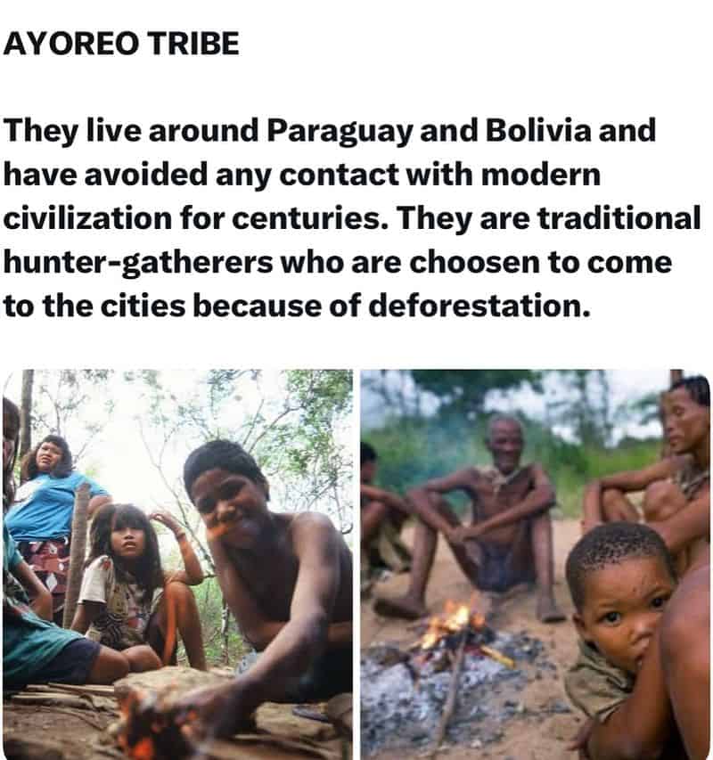 Defenders of the Gran Chaco Wilderness