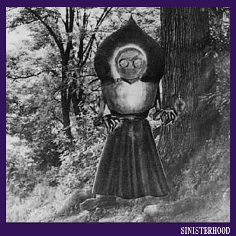 Flatwoods Monster: The Extraterrestrial Visitor