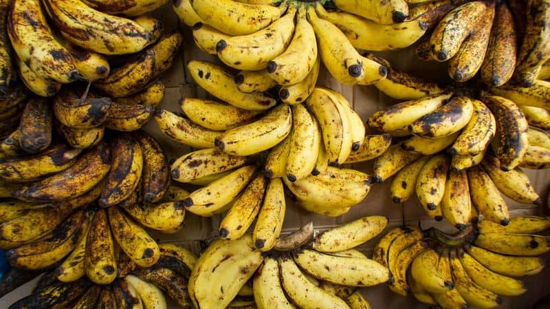 The Dreaded Banana Curse
