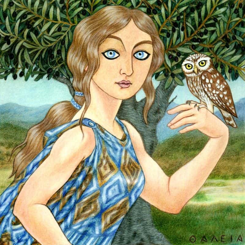 Athena's Owl: Guardian of Ancient Wisdom