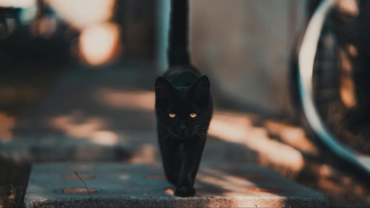 10 Old-School American Superstitions You’ve Probably Forgotten