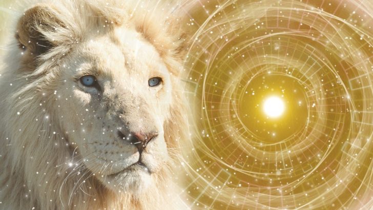 Luck Will Follow These 5 Zodiac Signs Through Leo Season