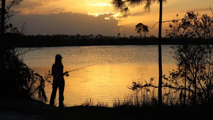 10 Timeless Proverbs From the South to Live By