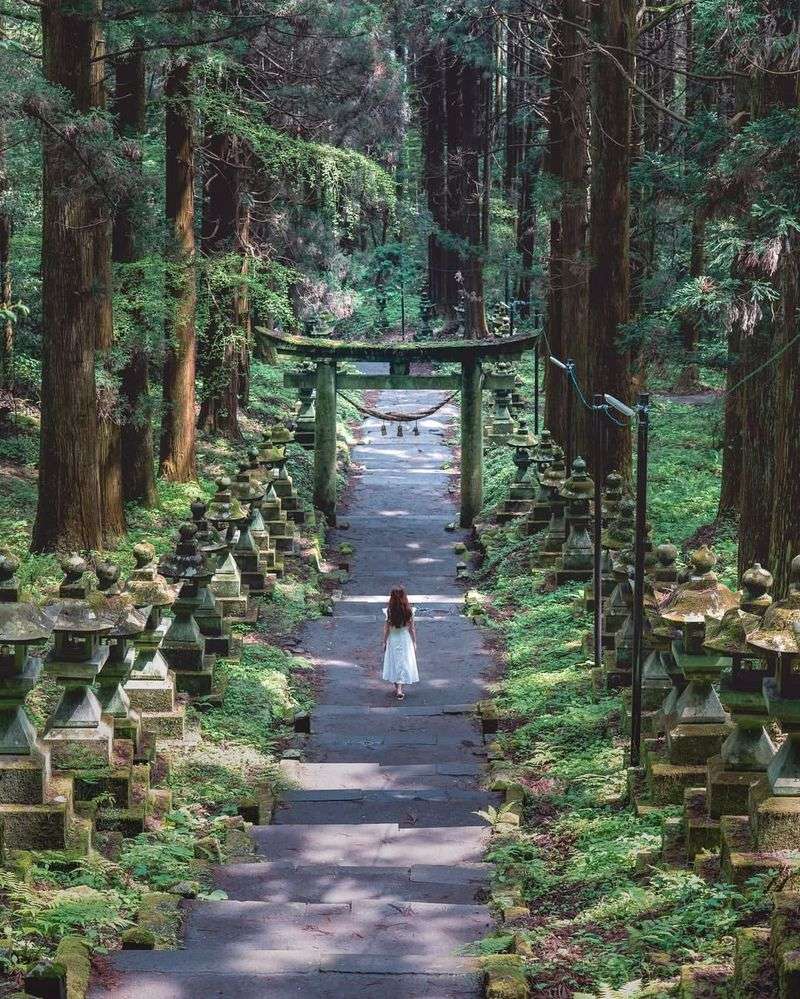 Reverence for Kami: The Sacred Spirits of Everything