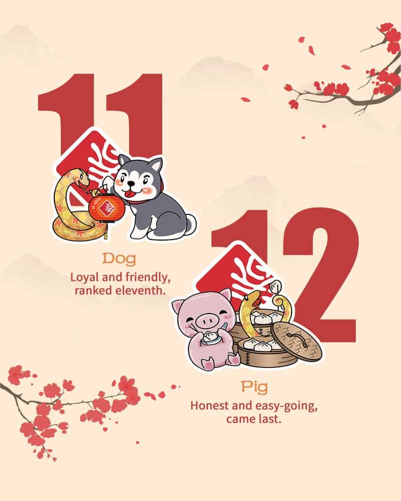 Dog and Pig: The Loyal Companions