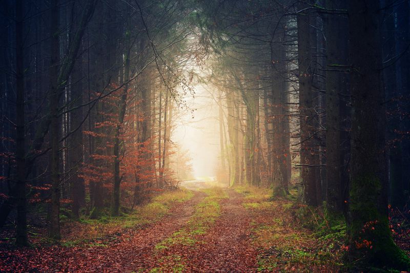 November: The Grateful Deepeners