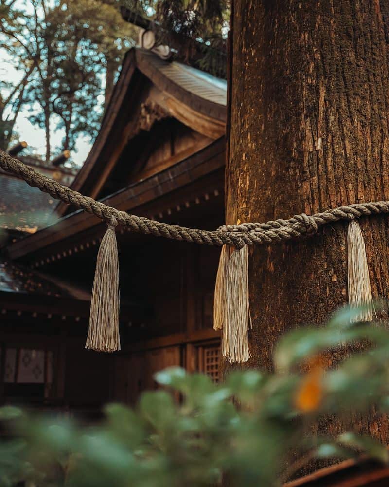 Living in Harmony with Nature's Rhythms