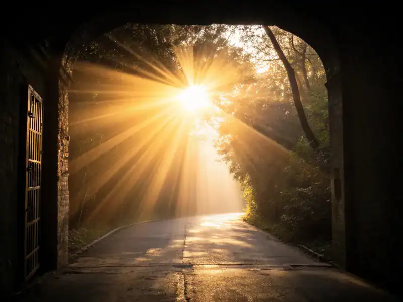 The Welcoming Light