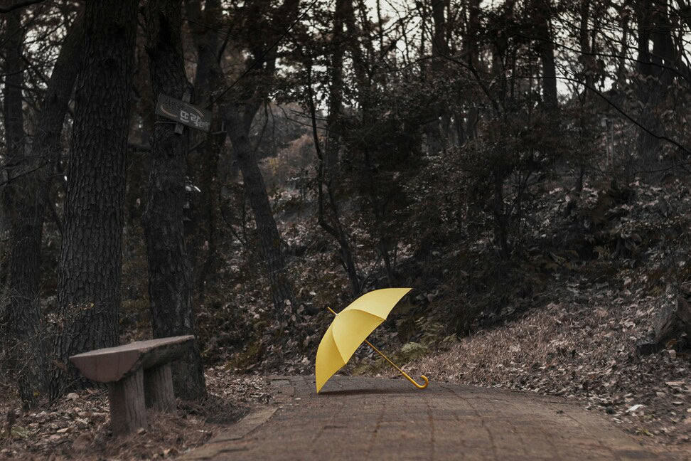 autumn rain
