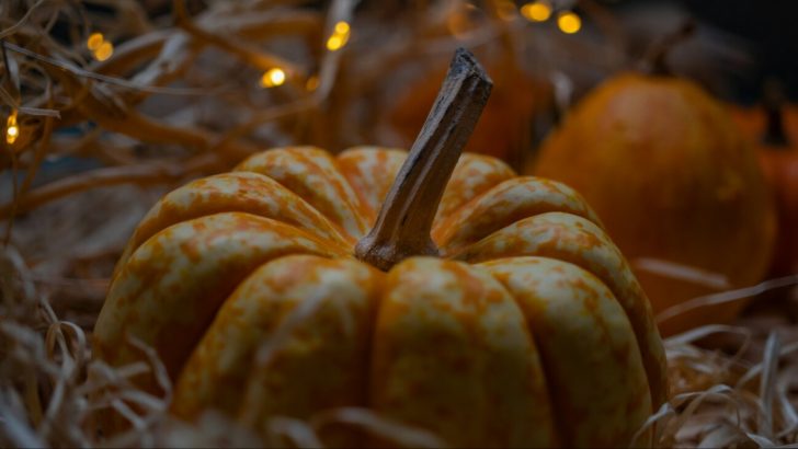 Astrology & Autumn: Find Your Ultimate Fall Activity Based on Your Sign