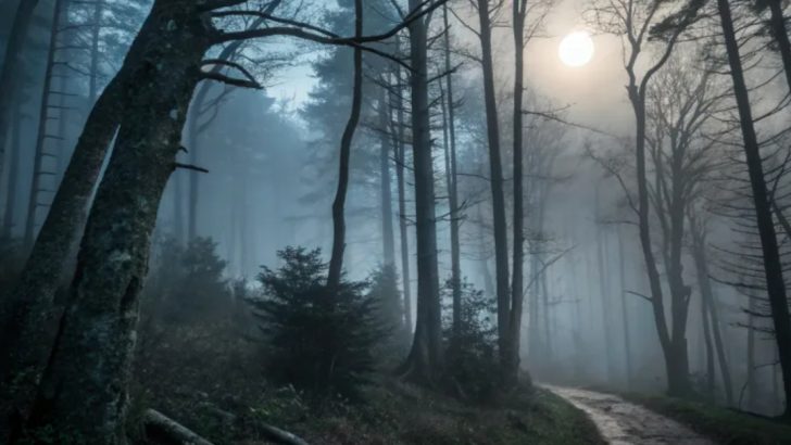 10 Things You Shouldn’t Ignore In the Appalachian Mountains