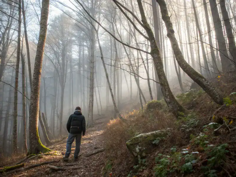 If nature goes quiet, you're probably the only thing not hiding