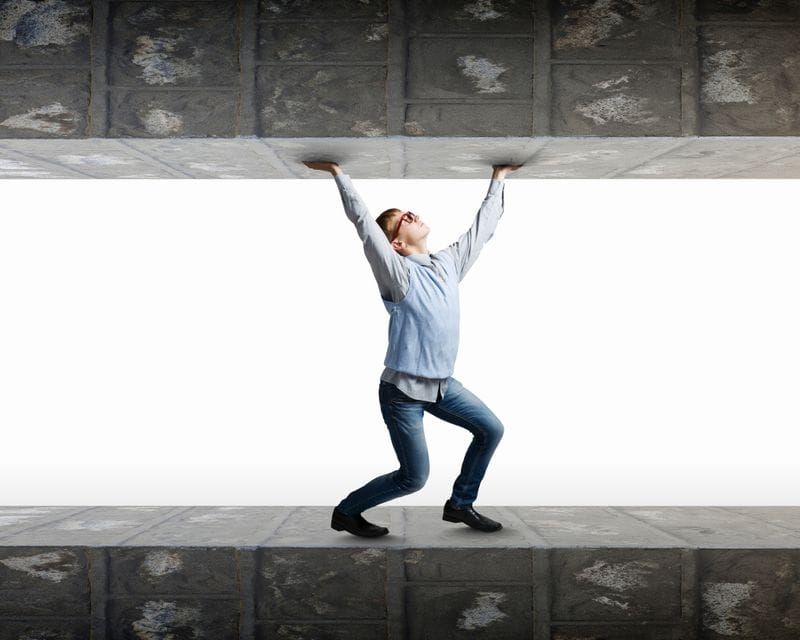 Adaptability Under Pressure