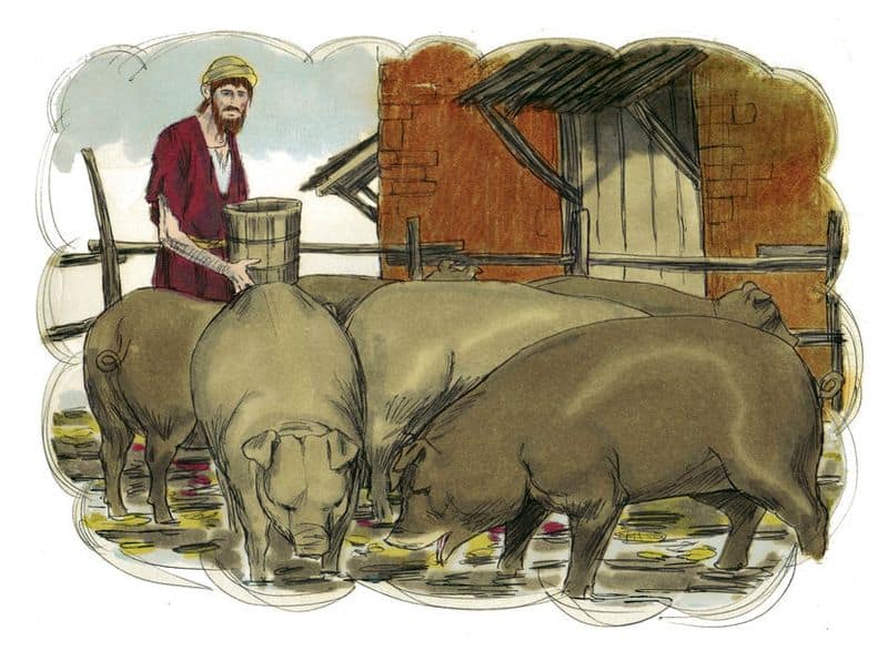 Unclean Swine