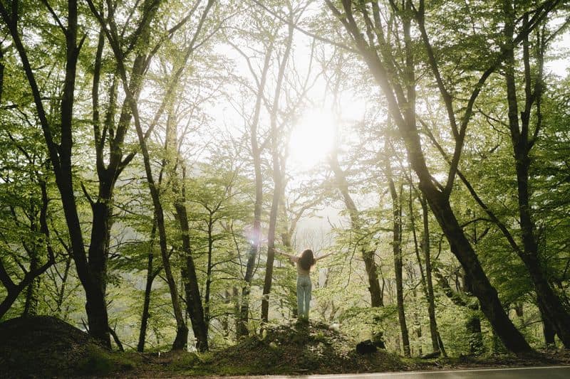 Nature Connection Rituals