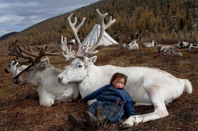 Dukha of Mongolia: The Reindeer Riders of the Taiga