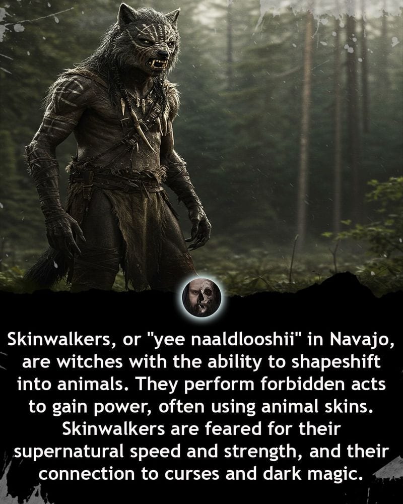 Protection Against Skinwalkers