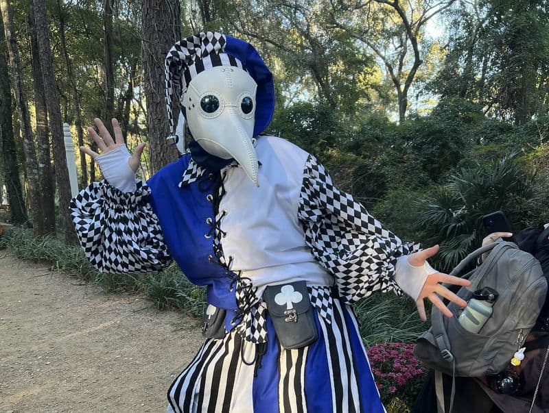 Gemini: The Two-Faced Jester
