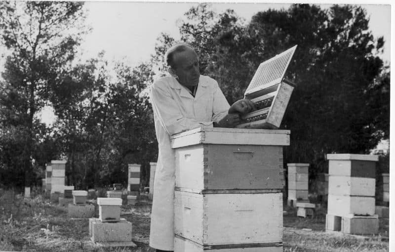 Telling the Bees