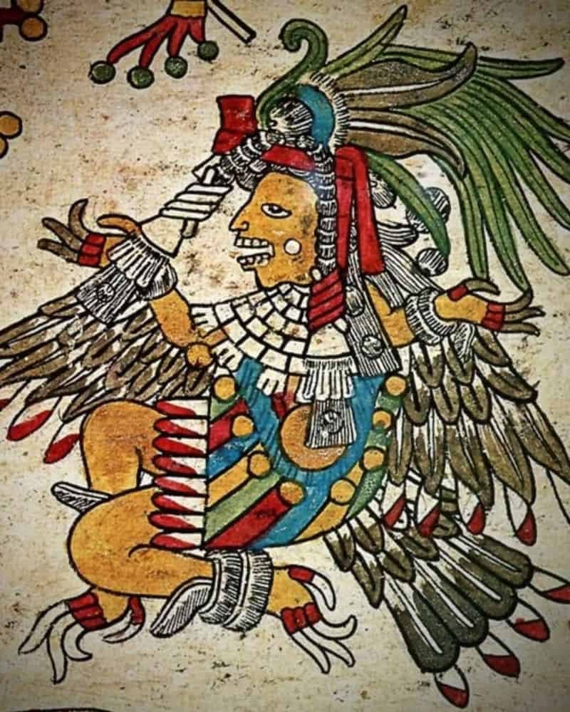 Tonatiuh: The Fifth Sun