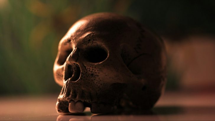 The Uncanny Valley: 9 Truths About Humanity’s Oldest Fear
