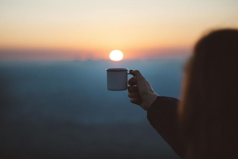 Cultivating Gratitude's Gentle Power