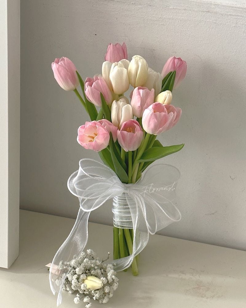 Tulip
