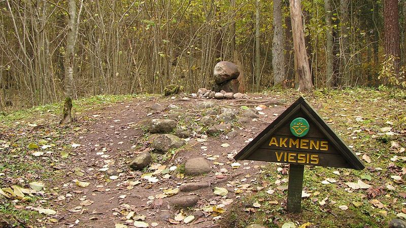 Pokaini Forest, Latvia