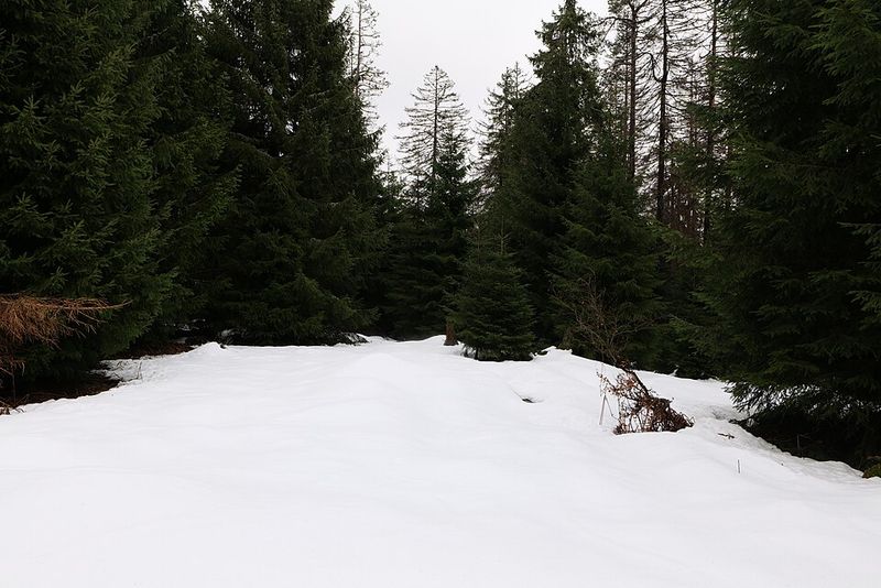 Black Forest, Germany