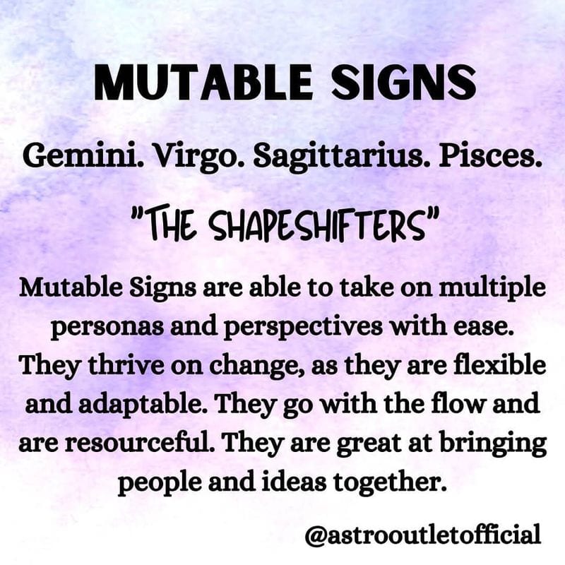 Mutable Signs: The Adaptable Transformers