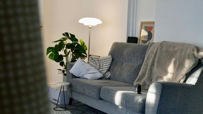 Furniture You Use Daily