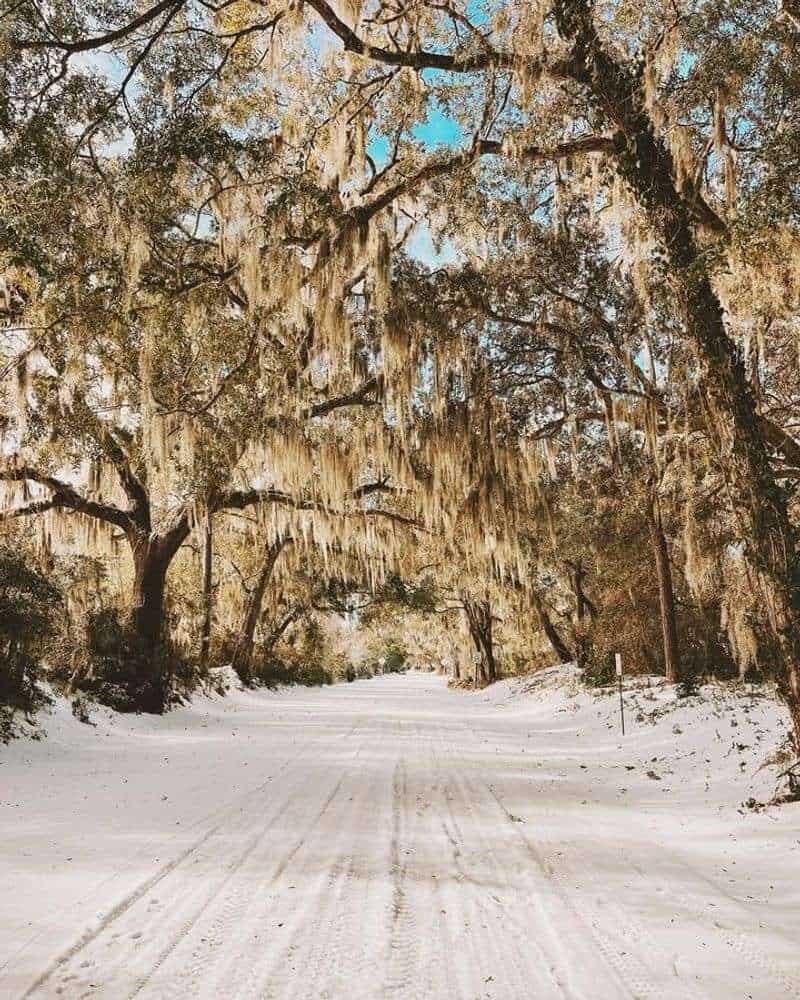 Cancer: Charleston, South Carolina