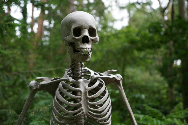 Skeletons