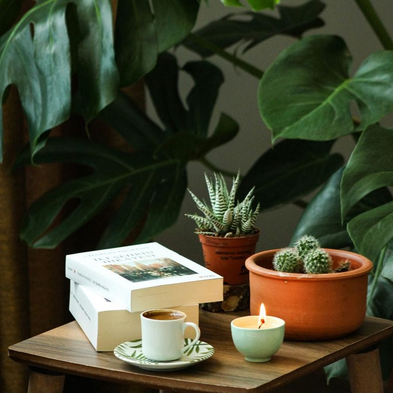 Transform Your Space Into a Calming Sanctuary
