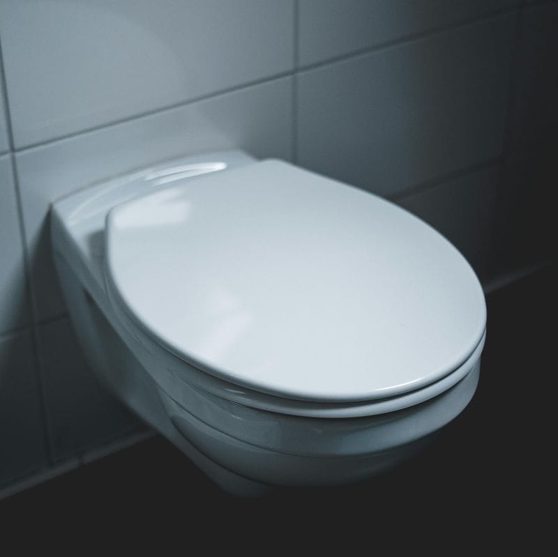 The Infamous Toilet Seat Debate
