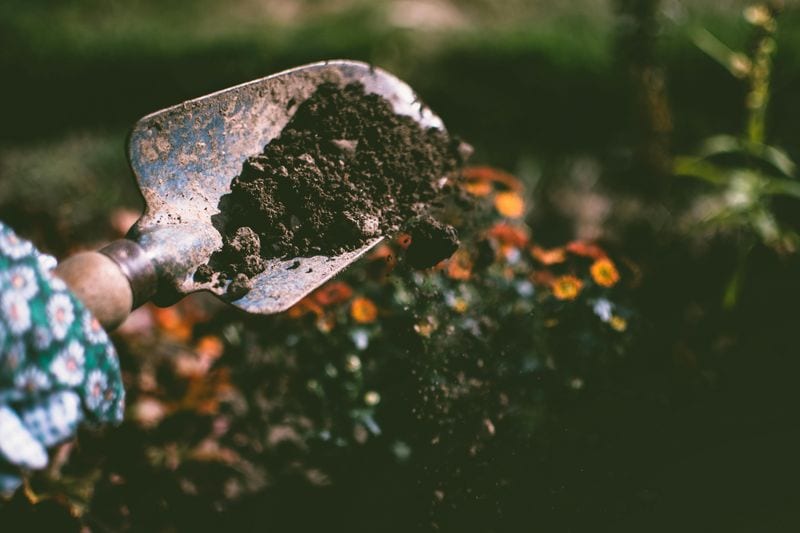 Farming Followed Lunar Planting Guides
