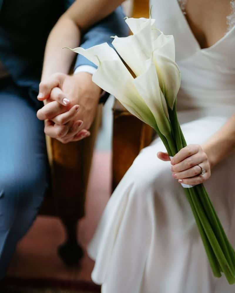 Calla Lily
