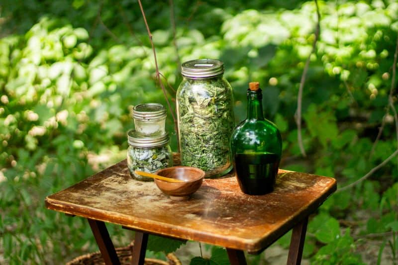 Fascination with Healing and Herbalism