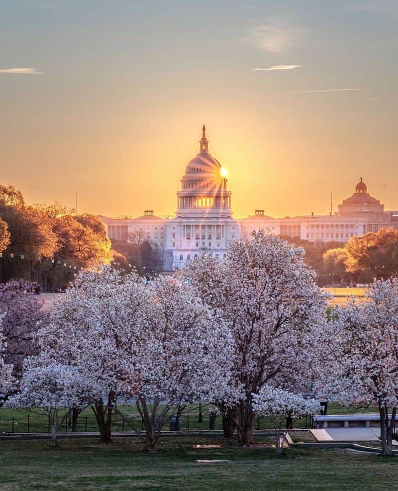 Capricorn: Washington, D.C.