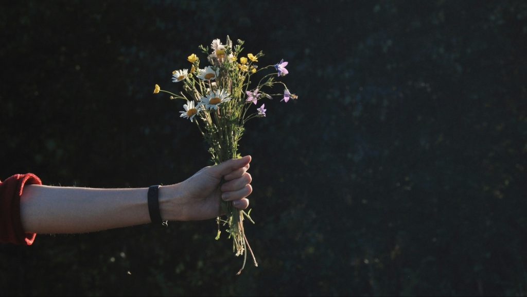 accept flowers apology
