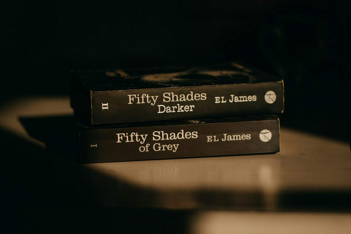 dark romance book