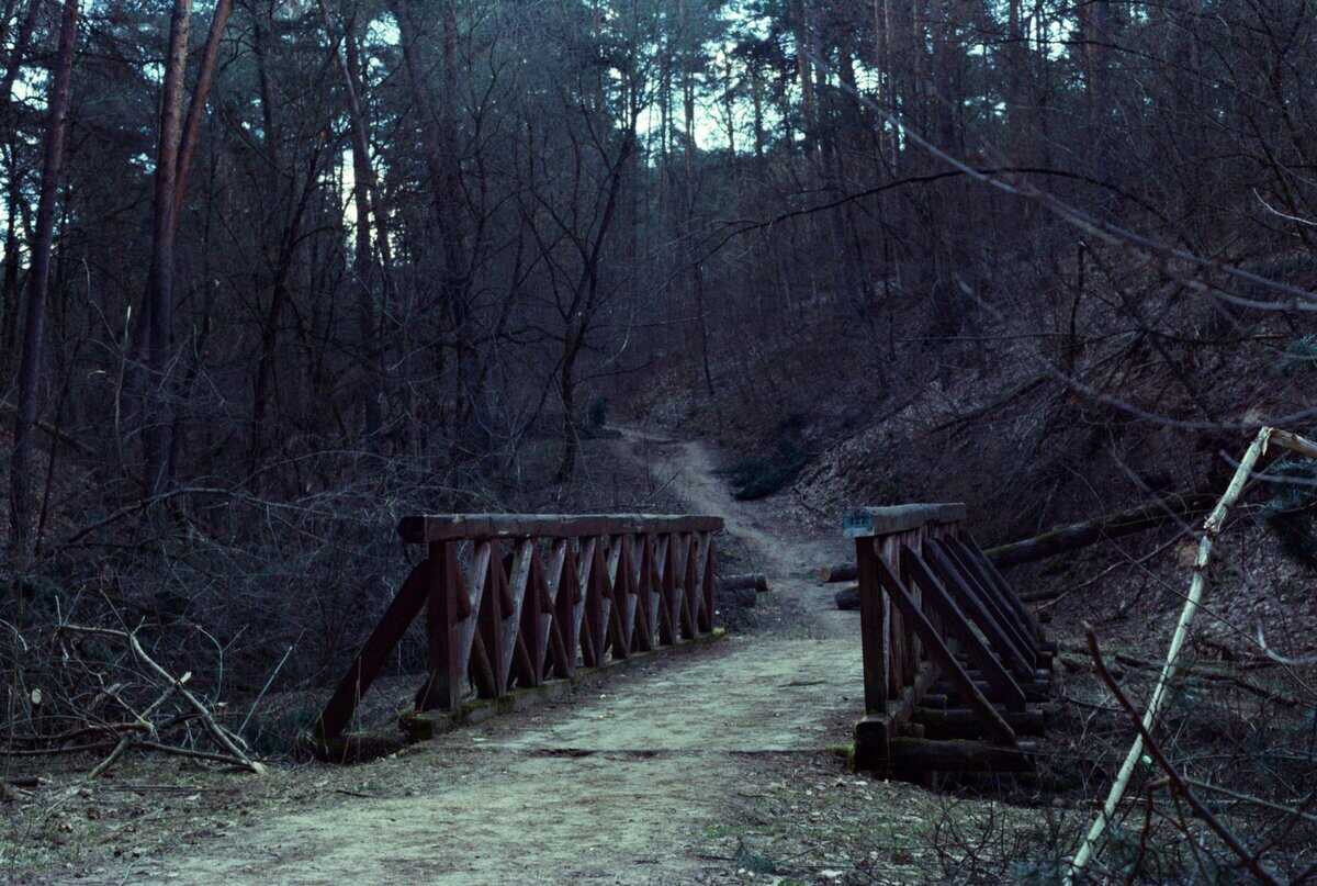 liminal space bridge